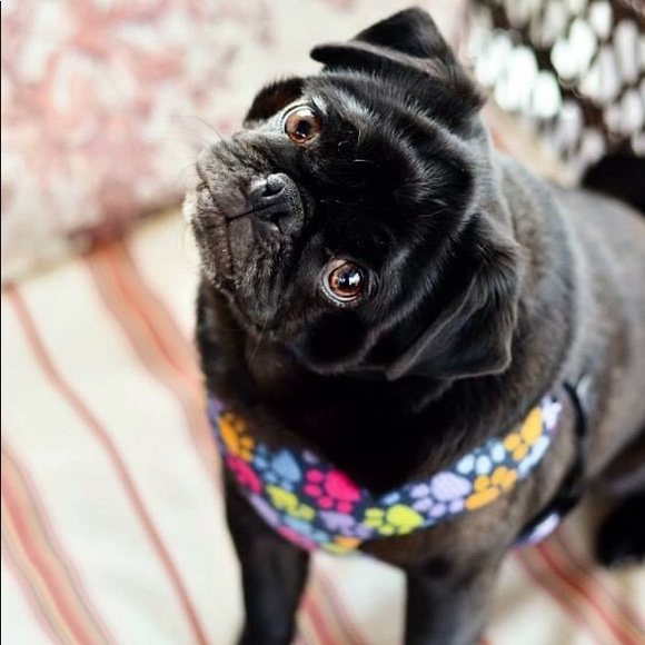 Meet your Posher, Marianne - Picture 6 of 6